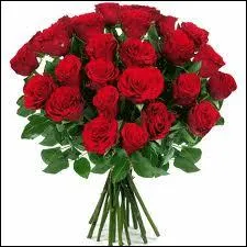 Comment sont ces fleurs ?