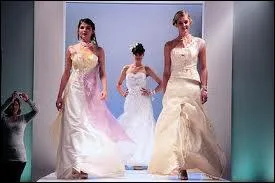 Que voyez-vous sur cette photo ?