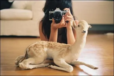 Comment appeler cette petite bte ?