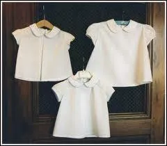 Ces chemisiers sont :