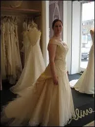 Comment sont ces robes ?