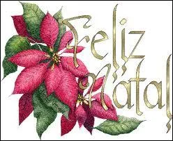 Que veut dire 'Feliz Natal ! ' ?