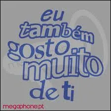 Que veut dire 'Eu tambm gosto muito de ti' ?