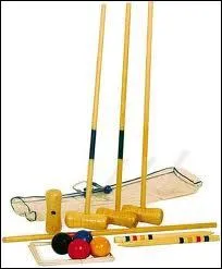 Ceci est l'quipement ncessaire pour jouer au ?