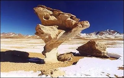 Qui a peint Arbre de pierre ?