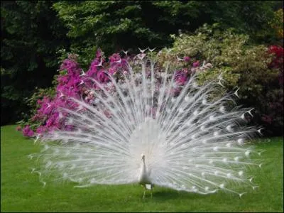 Une dernire facile !