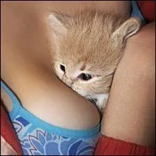 Pour les arabes, c'est diffrent !