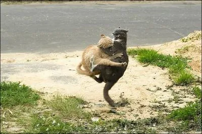 Et �a vous sugg�re ?