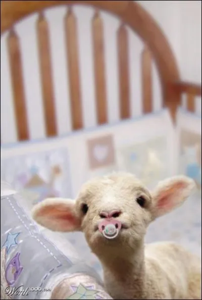 Facile, vous croyez ?