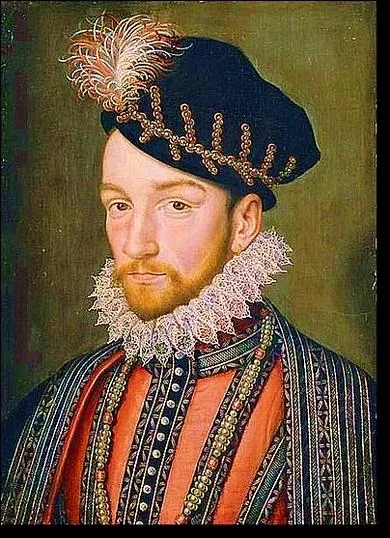 Quel roi a succ�d� � Charles IX ?
