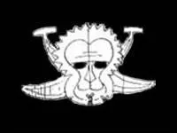 A qui appartient ce drapeau ?