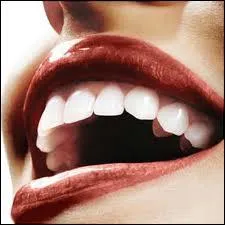 A votre avis, que celle-ci ?