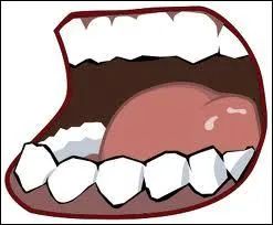 A votre avis, que dit cette bouche ?