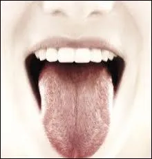 A votre avis, que dit celle-ci ?