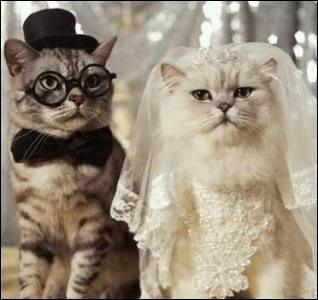 Qui sont ces deux animaux qui vont se marier ?