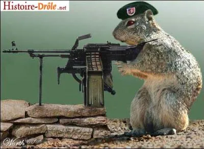 Quel est cet animal ?