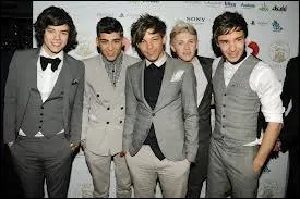 Quel membre des 1D est originaire d'Irlande ?