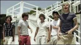 Sur quelle clbre plage a t tourn le clip  What Makes You Beautiful  ?