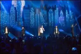 Comment s'appellent les fans des One Direction ?