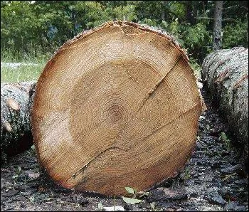 Un peu d'humour maintenant, quelques jeux de mots. Les 6 ...