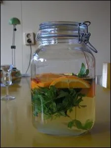 Le 'Maitrank' est une boisson apritive de la rgion d'Arlon dont le got particulier est d  l'asprule odorante, aux tranches d'oranges et au... .