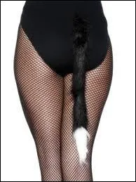 Hros qui sait assumer ses miaulements