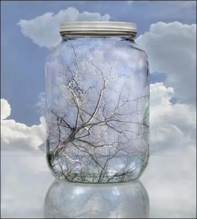 Sycamore sky de John Grant rappelle un ancien film de science-fiction de trs bonne qualit, des annes 70, qui est... ?