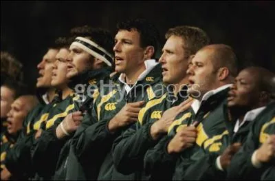 Quel est l'emblme et le surnom du 15 d'Afrique du Sud ?