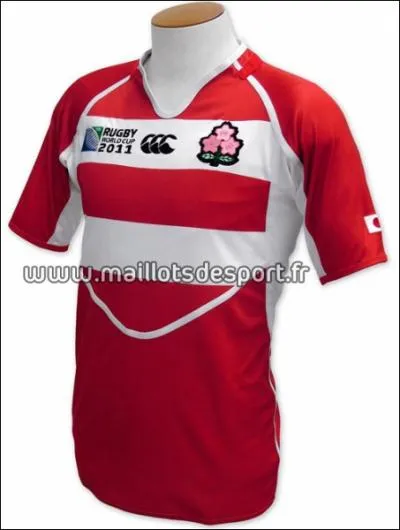 C'est le maillot de l'quipe de Rugby...