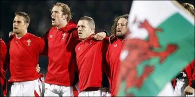 Quel est l'emblme du 15 Gallois ?