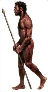 Que signifie Homo Sapiens ?