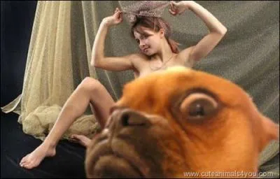 Quel est cet animal qui nous gche la vue ?