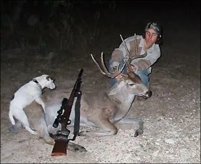 C'est la rcompense du chien pour avoir traqu ce ...