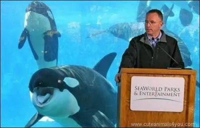 Une petite facile, pour dcompresser !