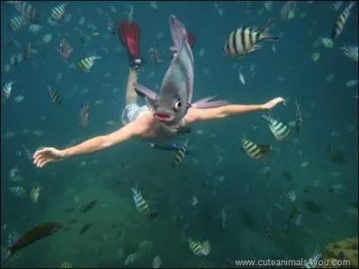 Dans le film 'Le Grand Bleu', qui Jacques considre-t-il comme sa famille ?