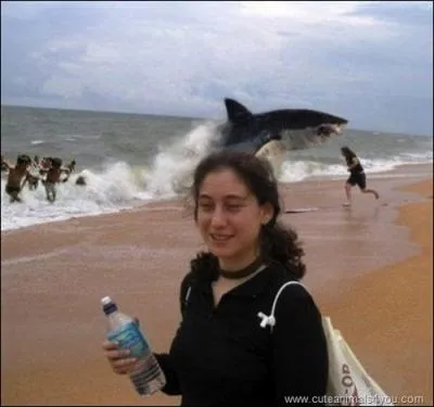 A l'arrire de cette photo, qui me parait truque, on voit ...