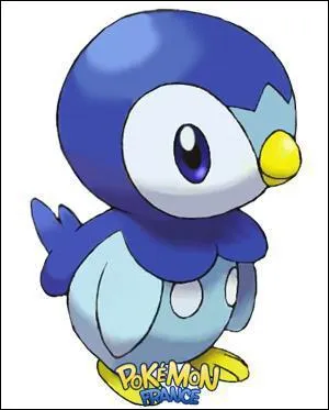 De quel type est ce Pokmon ?