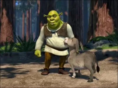 Comment s'appelle l'ne qui devient le meilleur ami de Shrek ?