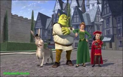 Finalement, avec qui la princesse se marie-t-elle  la fin ?