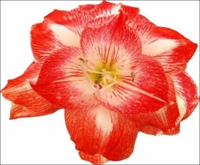 De quel magasin s'agit-il ?