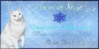 Qui est le mentor de Nuage de Neige ?