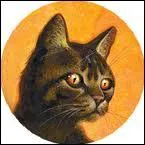 Qui est le mentor de Nuage Epineux ?