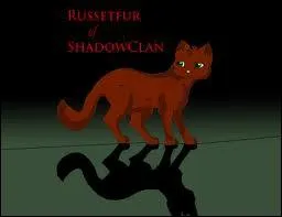 Qui devait tre le mentor de Petite Chtaigne ? ( Mais elle ne deviendra apprentie que dans le 2e cycle )