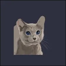 Qui est le mentor de Nuage Gris ?