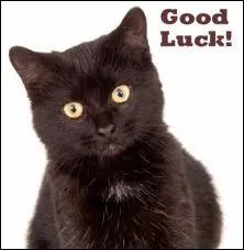 Qui est le premier mentor de Nuage de Poussire ?