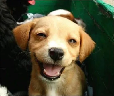 Toujours facile : quel est le nom de celui-l ?