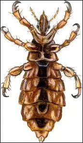 Si vous tes titilleur, o allez-vous me chercher ?