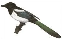 Si c'est la tienne, c'est donc :