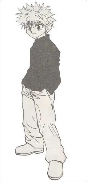 Qui est-ce ? (Hunter X Hunter)