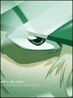 Qui est-ce ? (Bleach)